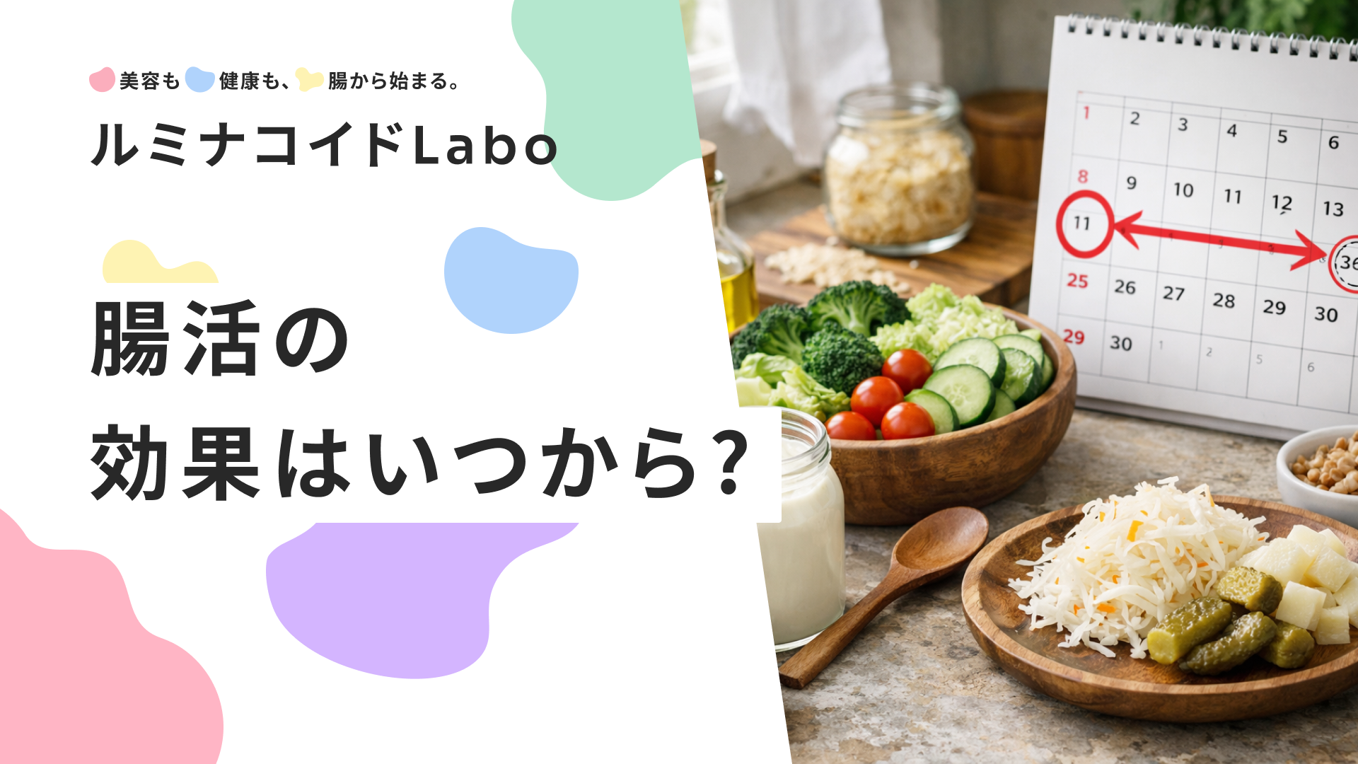 腸活の効果はいつから？【最短2週間】で変化を実感！効果を高める5つの方法も解説