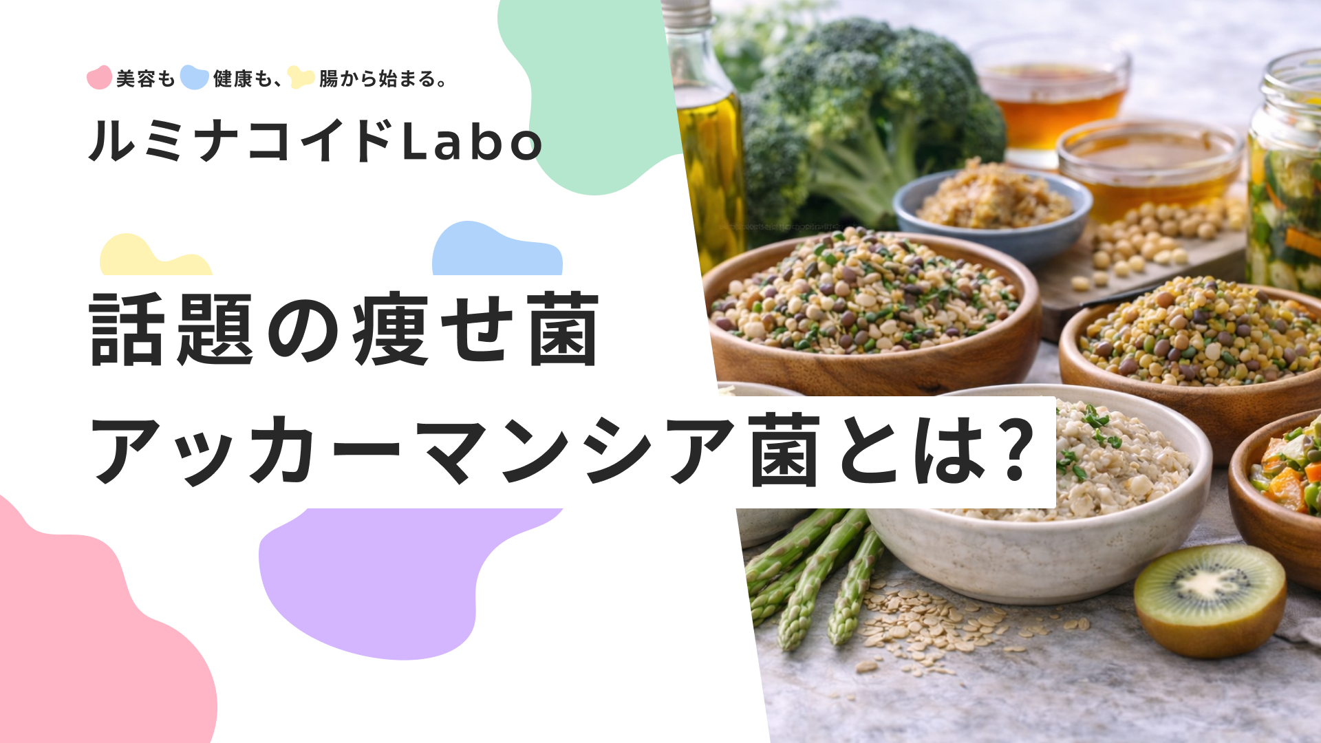 話題の痩せ菌「アッカーマンシア菌」とは？増やす食べ物や効果を徹底解説