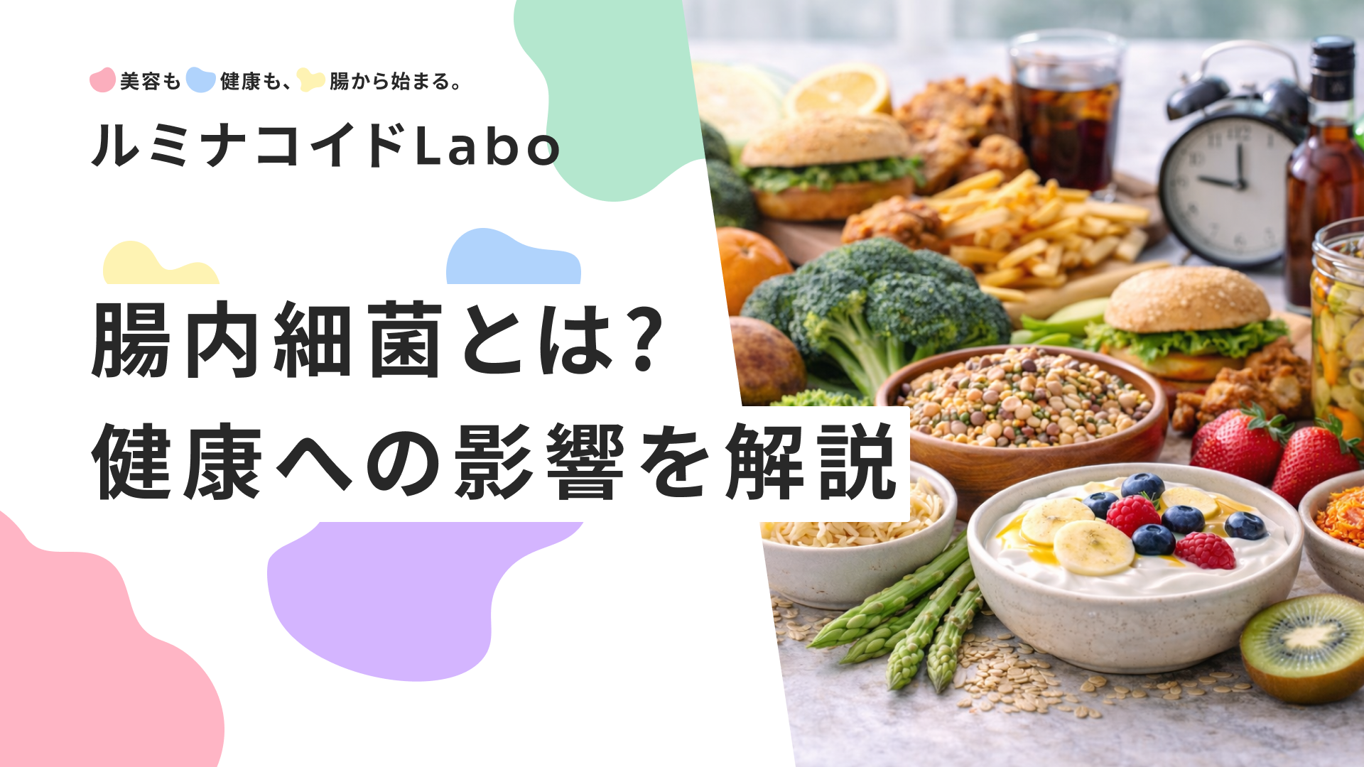【初心者向け】腸内細菌とは？善玉菌・悪玉菌の働きや健康への影響をわかりやすく解説