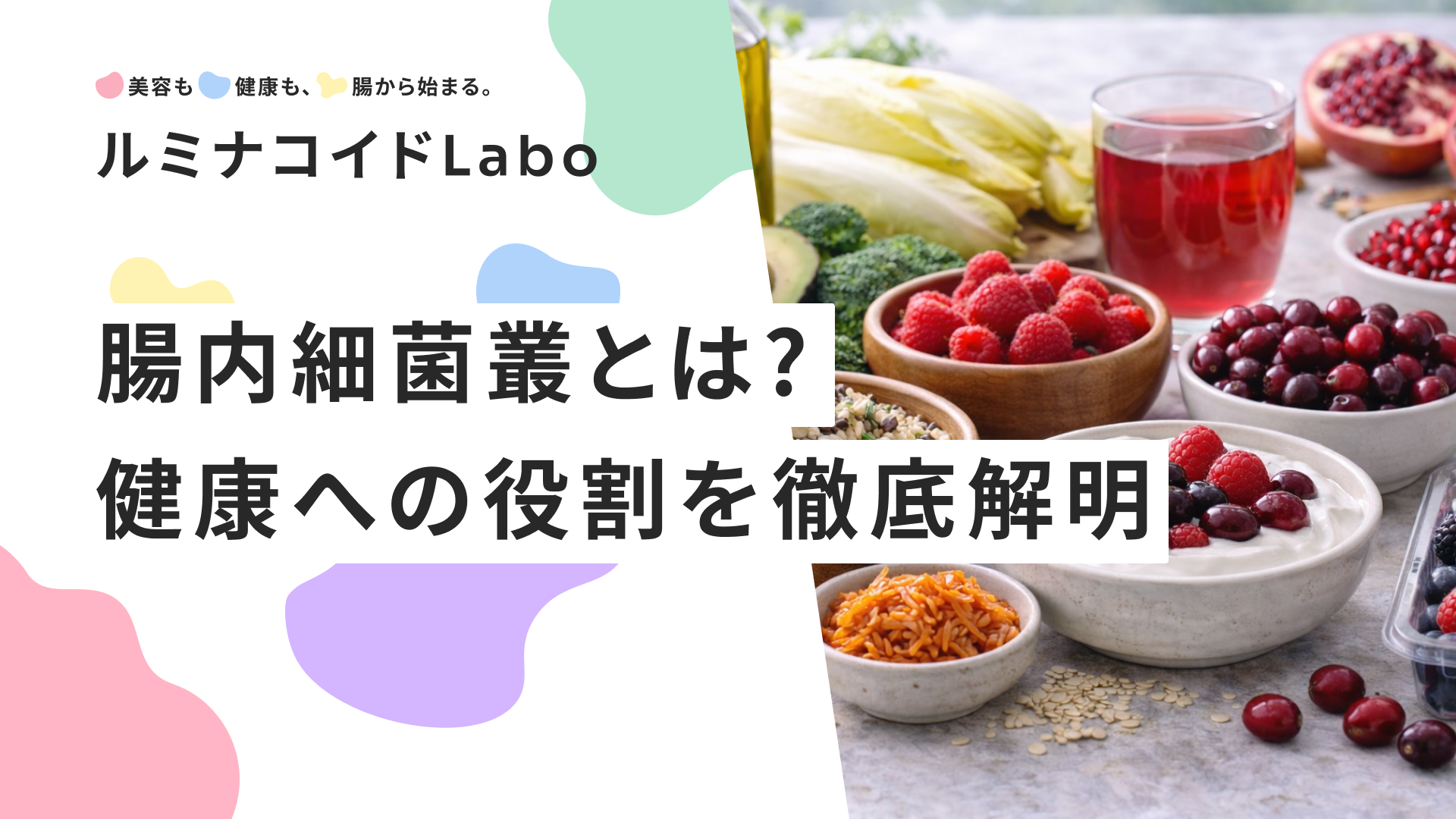 腸内細菌叢とは？腸内フローラとの違いや健康への役割を徹底解明